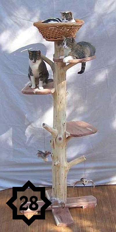 a-tree-for-your-cats.jpg