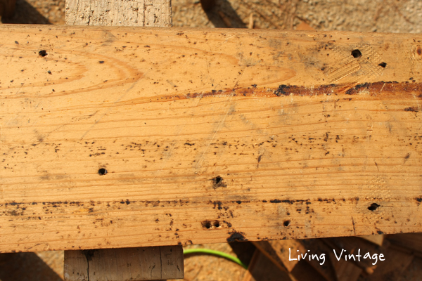 Reclaimed Wide Plank Pine Floors Sold - Living Vintage