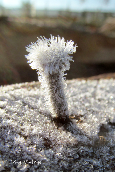 a frozen nail